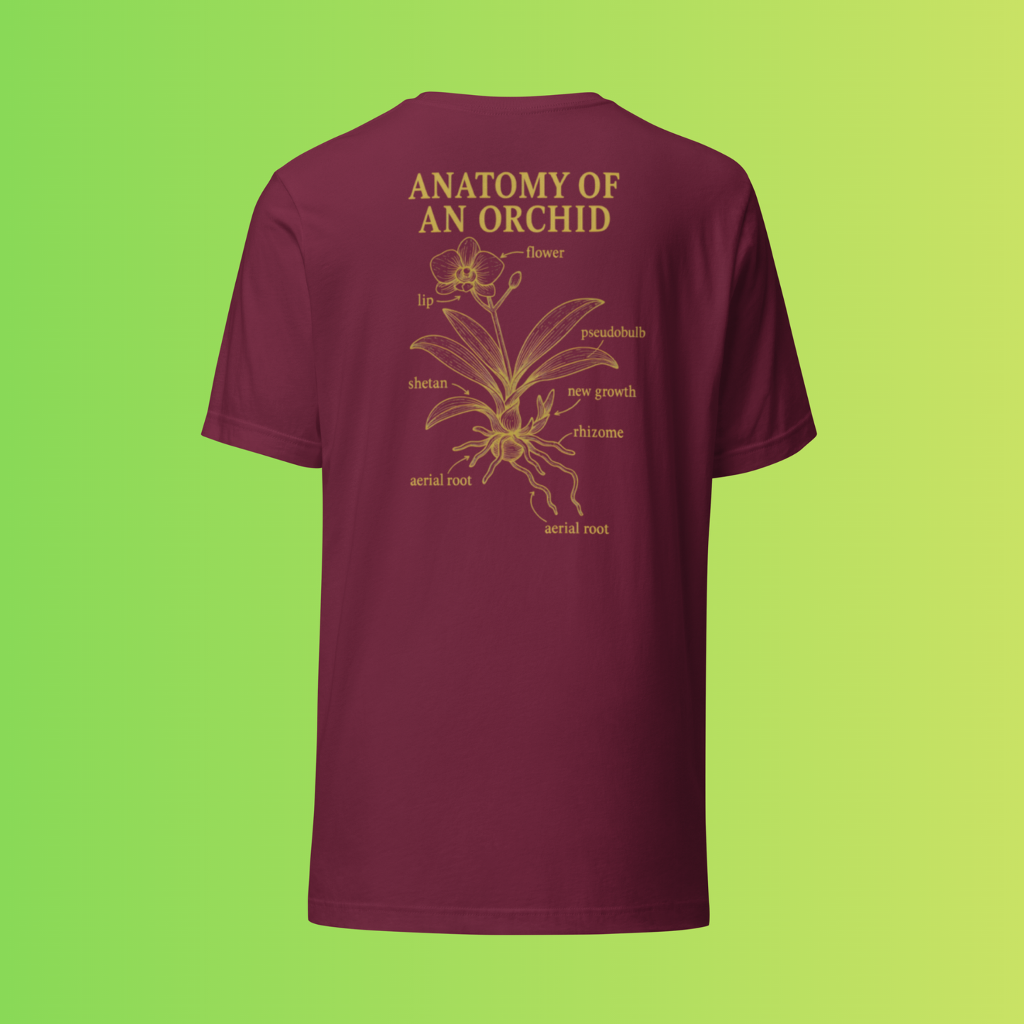Anatomy of an Orchid – Botanical Back Print Tee