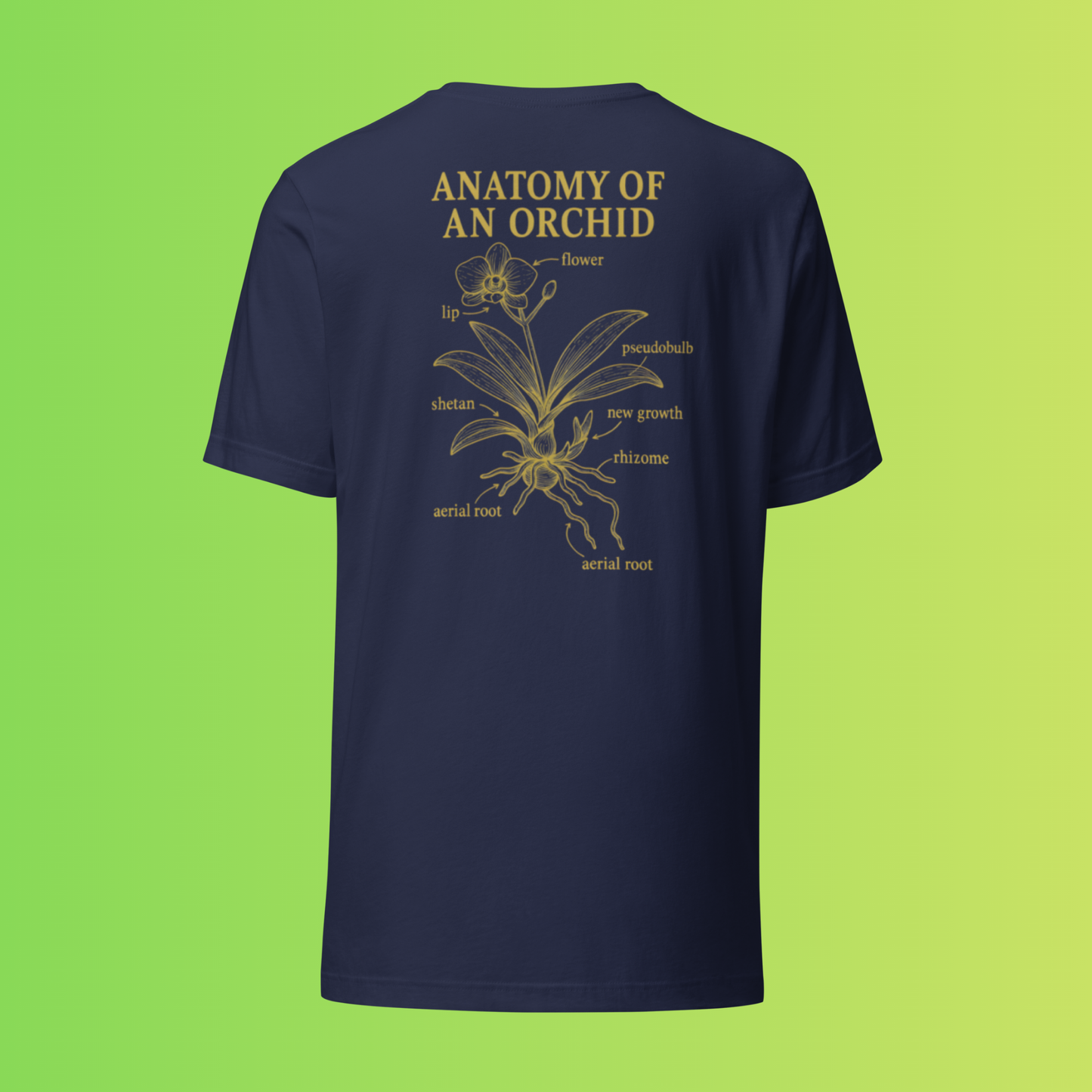 Anatomy of an Orchid – Botanical Back Print Tee