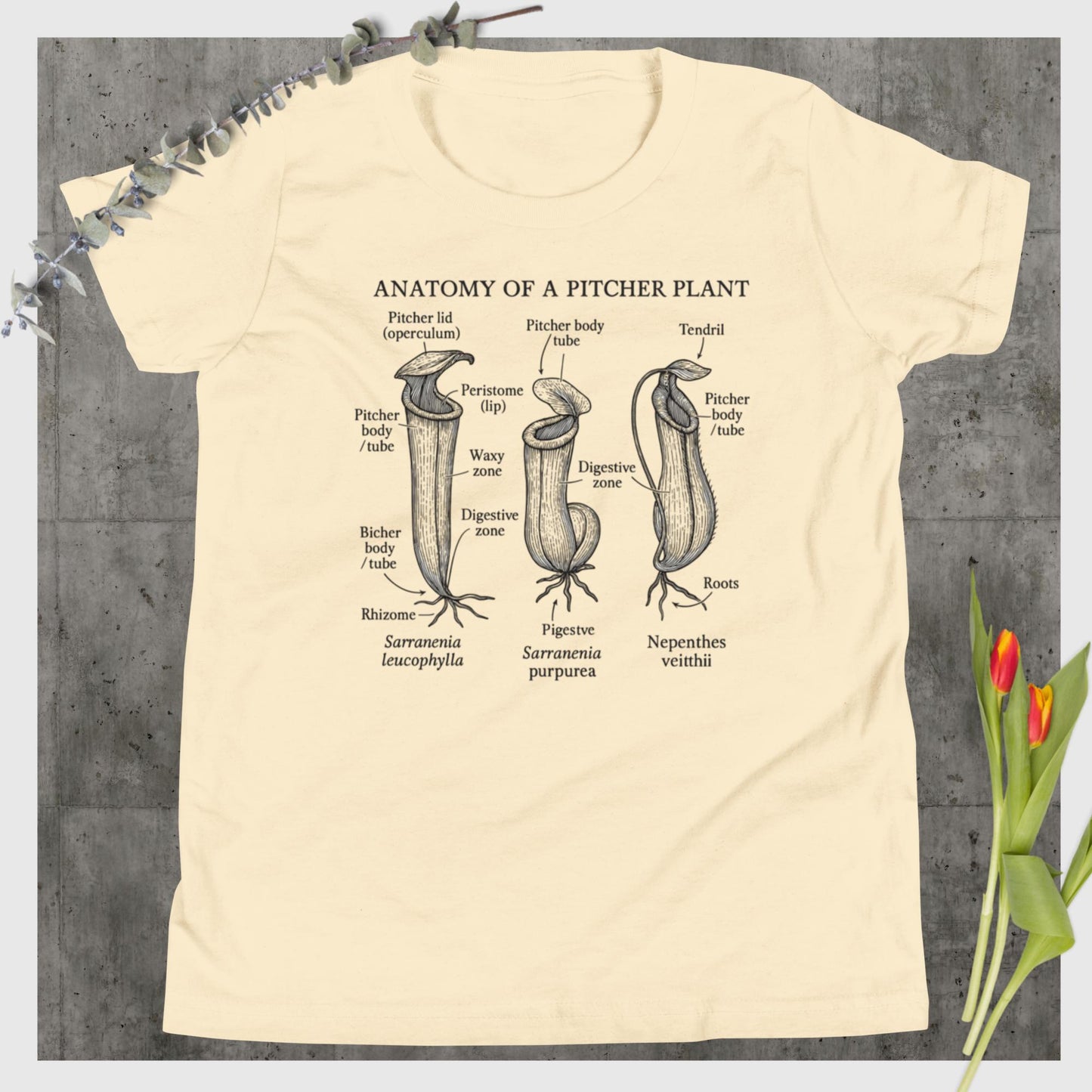 Anatomy of a Pitcher Plant – Vintage Carnivorous Plant T-Shirt