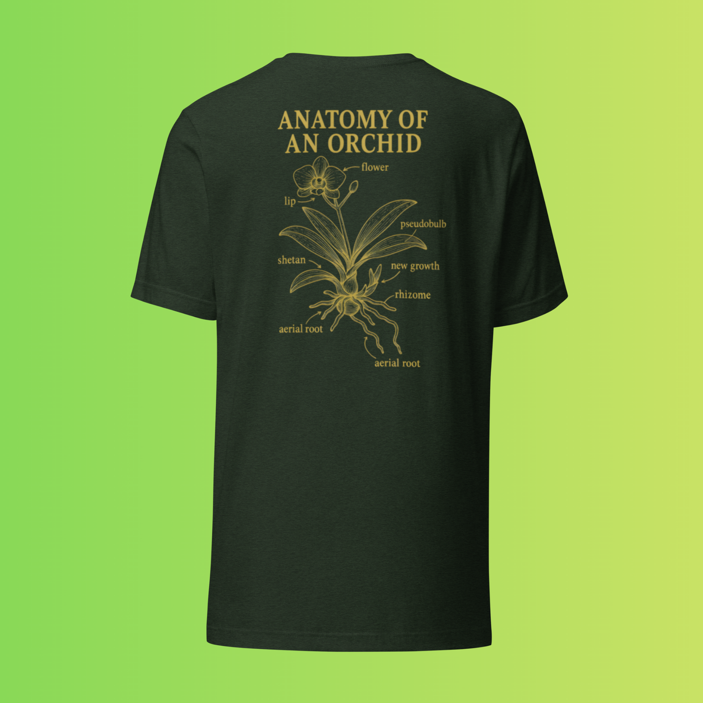 Anatomy of an Orchid – Botanical Back Print Tee
