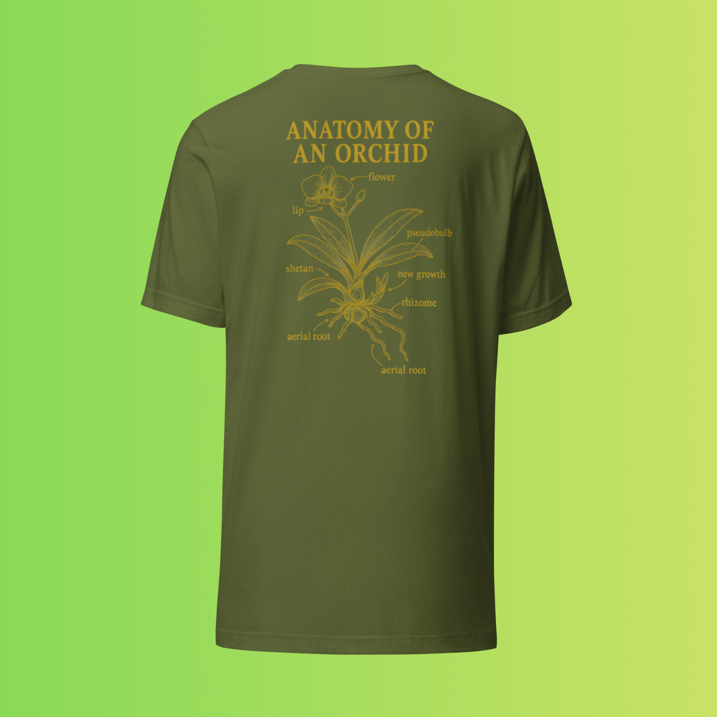 Anatomy of an Orchid – Botanical Back Print Tee