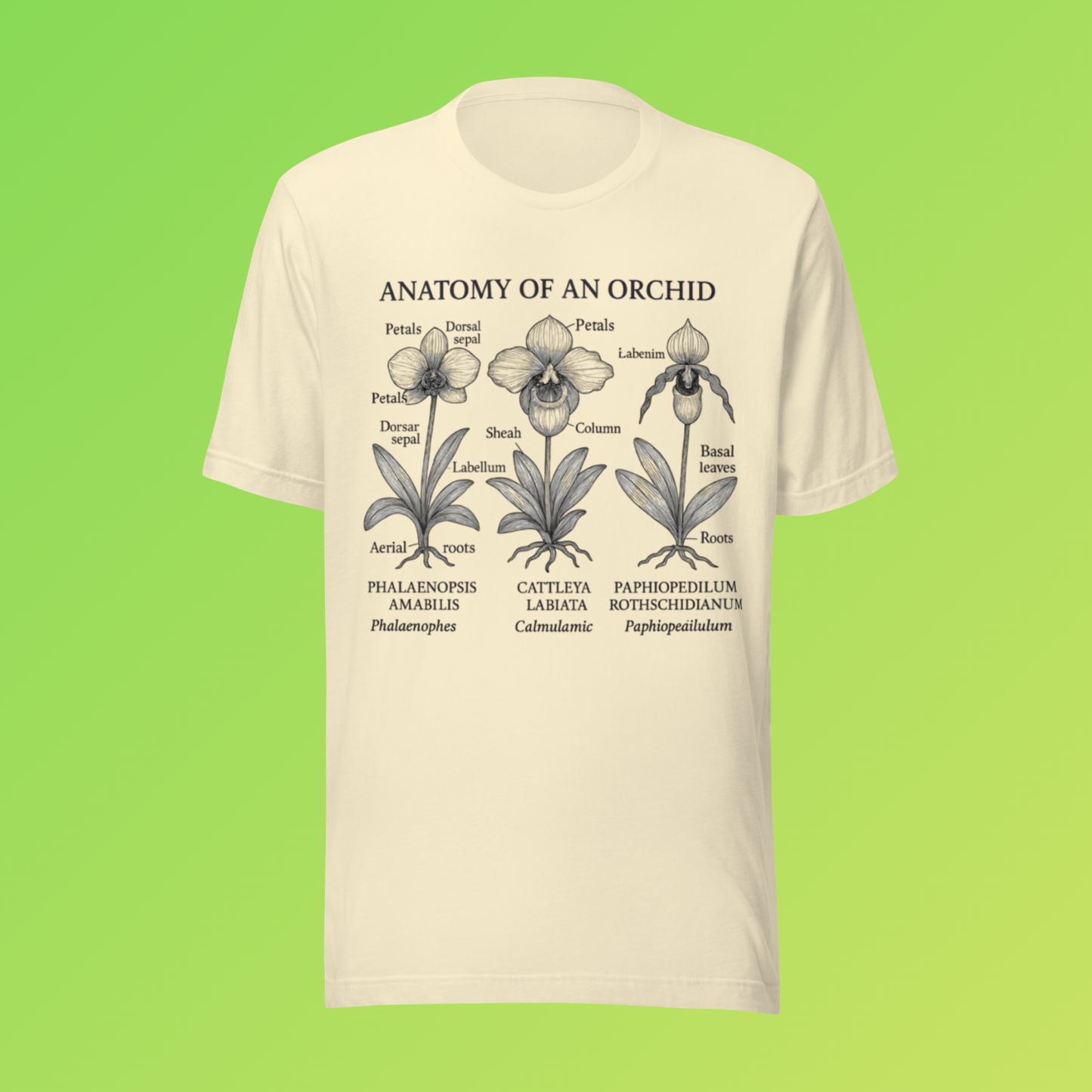 Anatomy of an Orchid Shirt – Botanical Plant Lover Tee